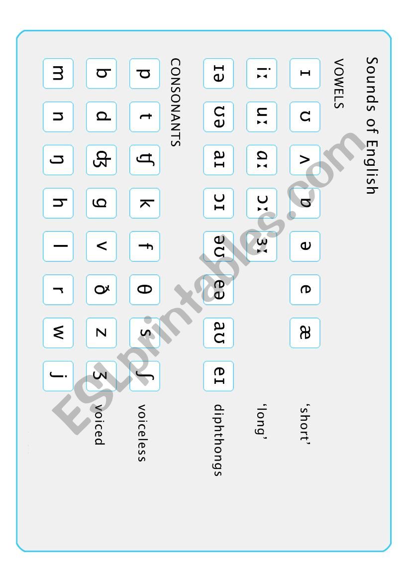 Phonetic Symbols of English worksheet