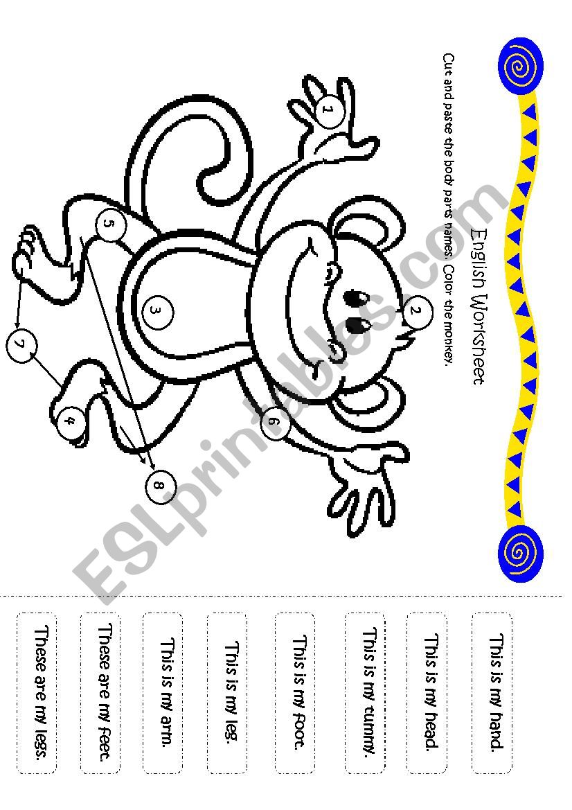 Monkey worksheet