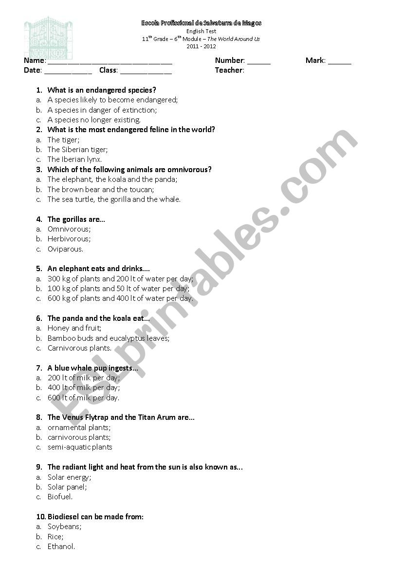 The world around us  worksheet