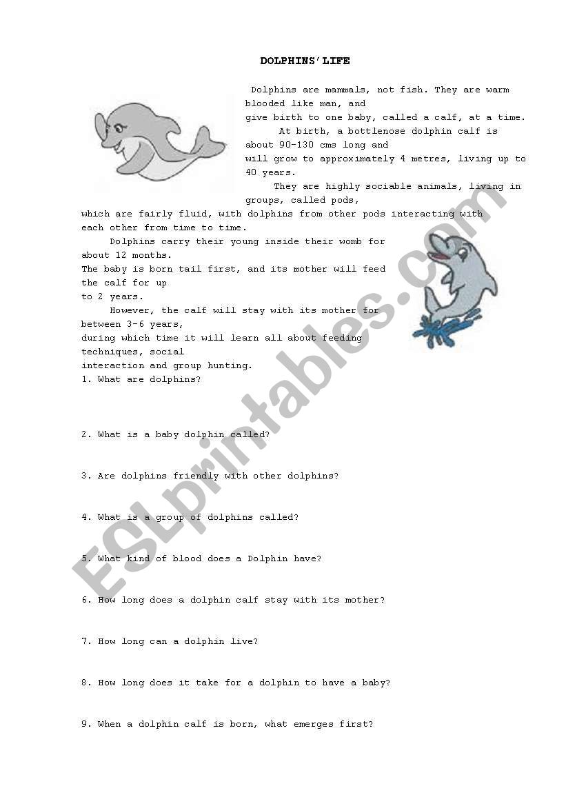 DOLPHINSLIFE worksheet