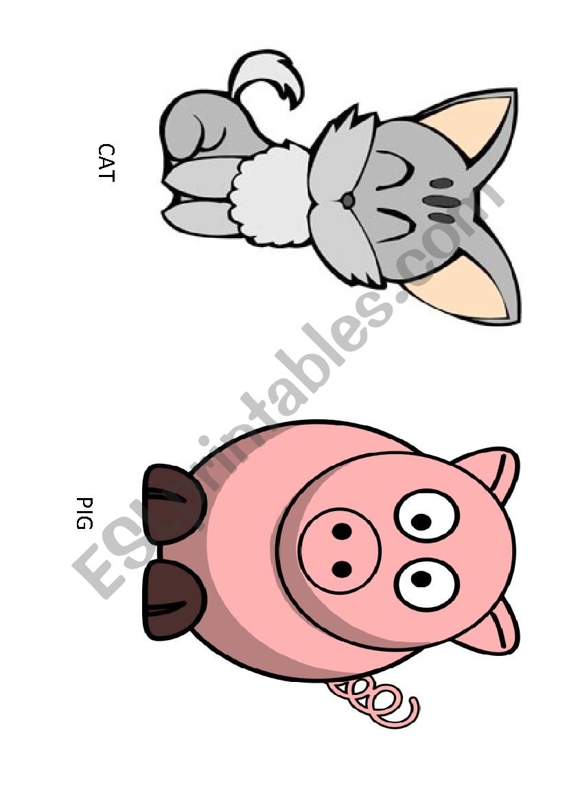 ANIMALs worksheet