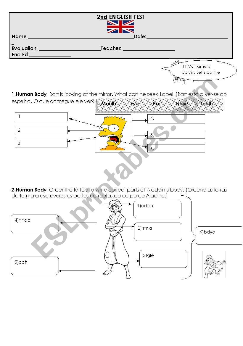 Human Body worksheet