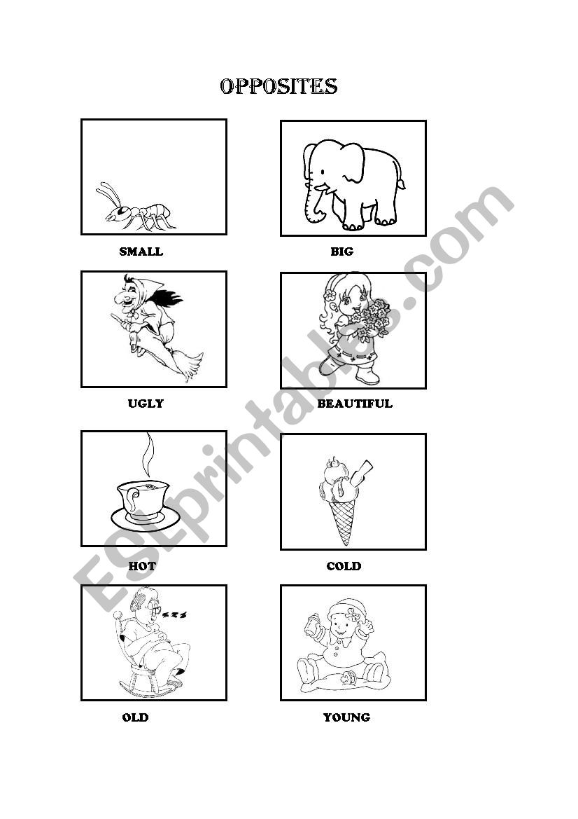 Opposites worksheet