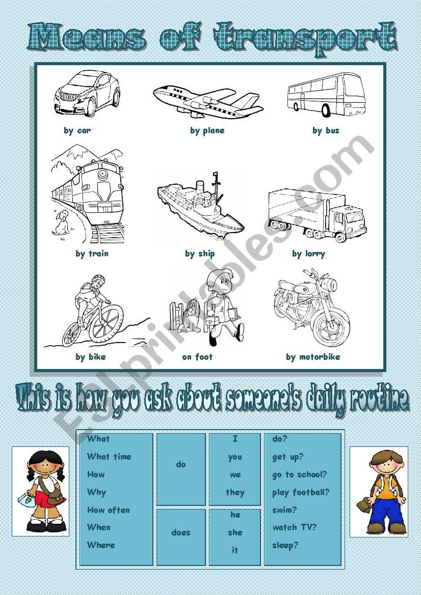 Means of Transport and Daily Routines