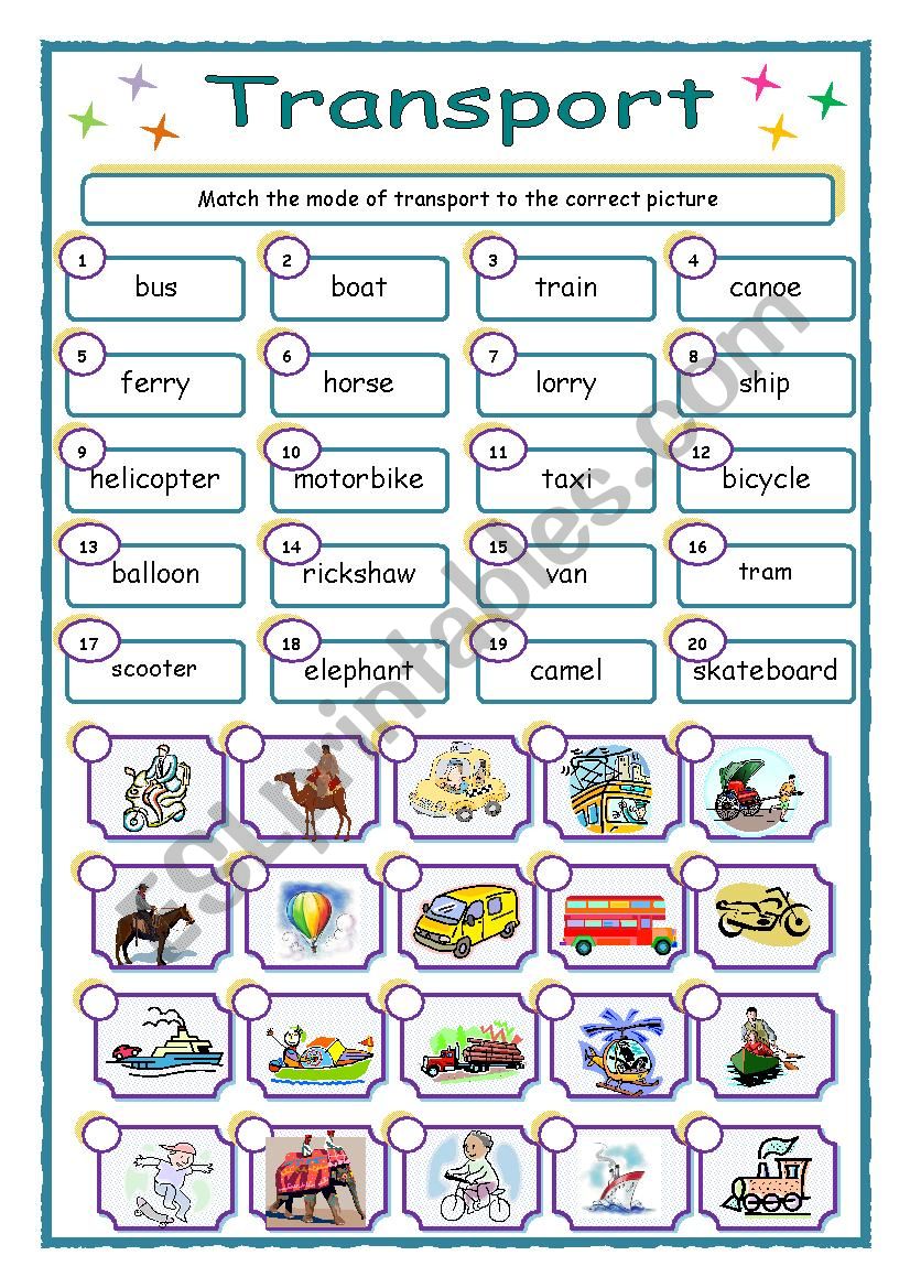 Transport worksheet