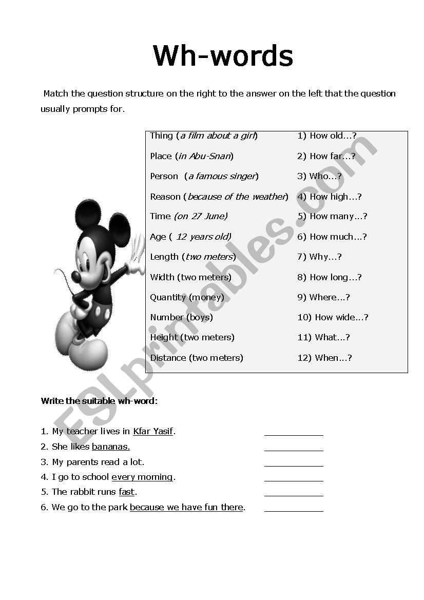 wh words worksheet