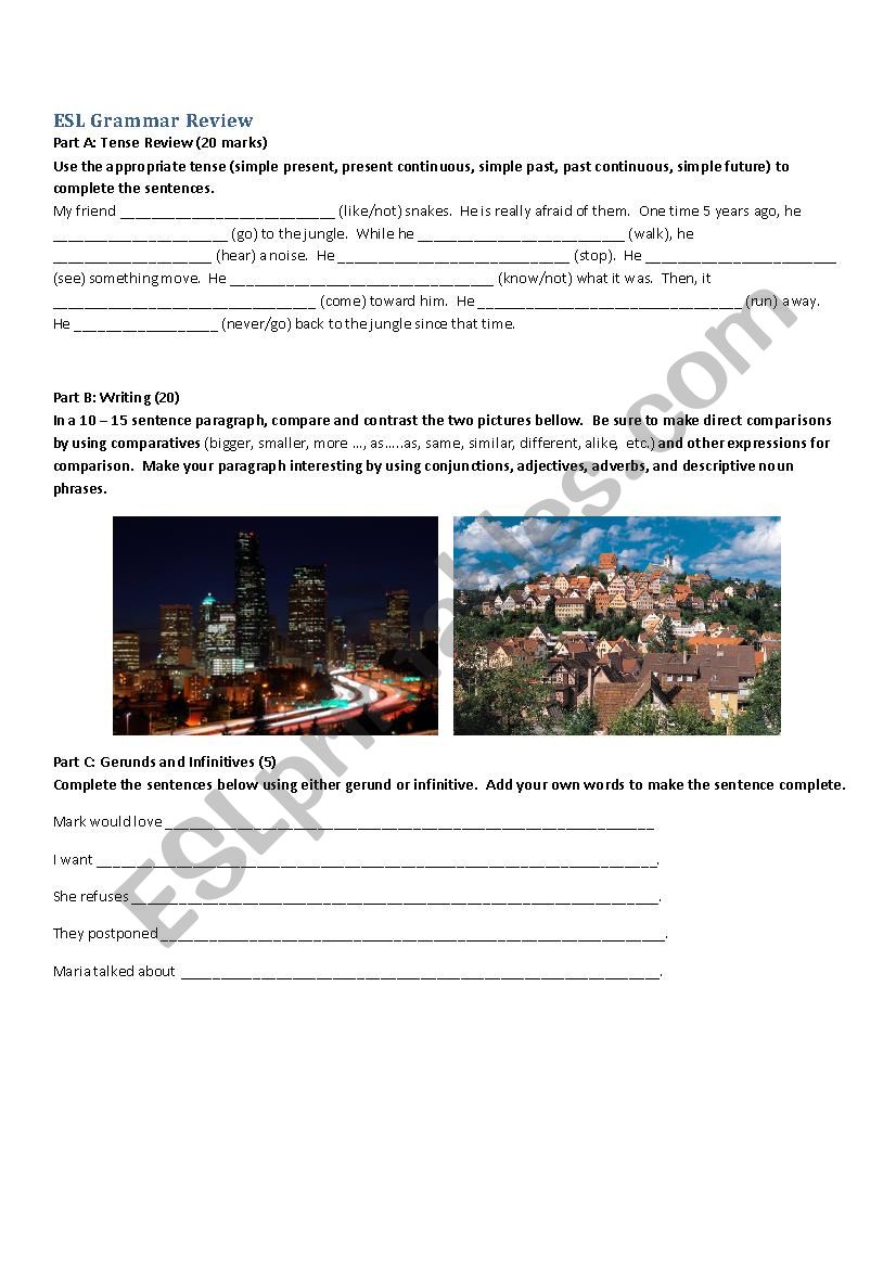 ESL Grammar Reviwe worksheet