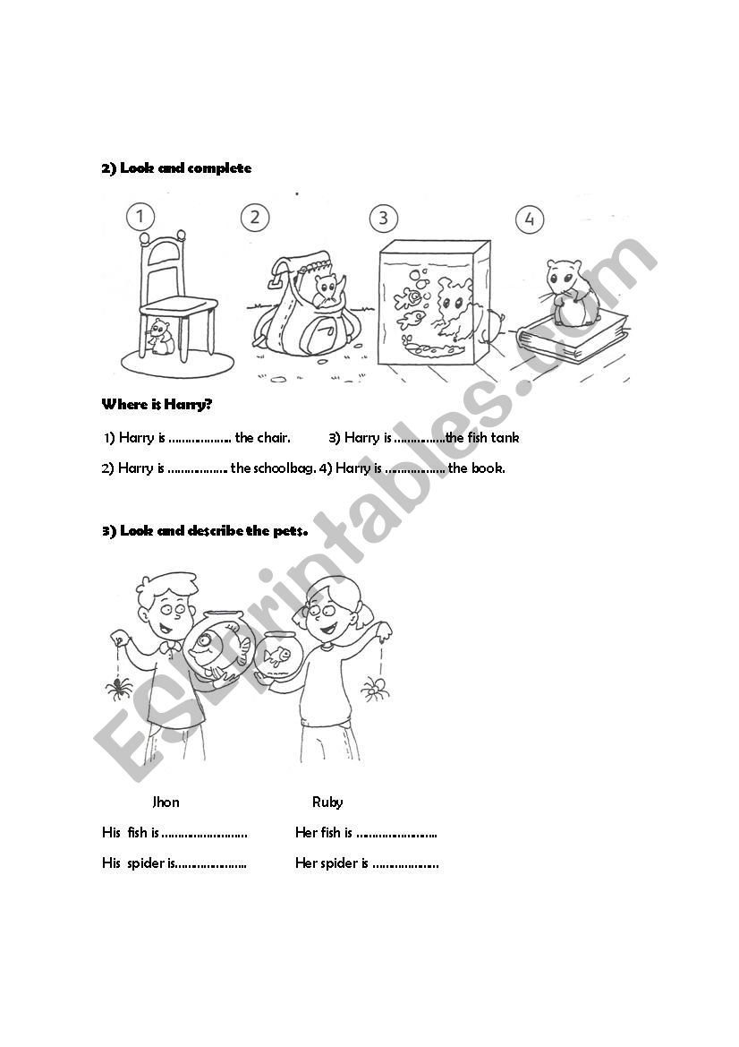 Prepositions and pets worksheet