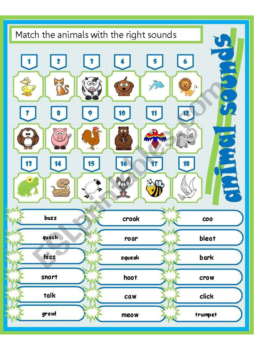 animal sounds worksheet