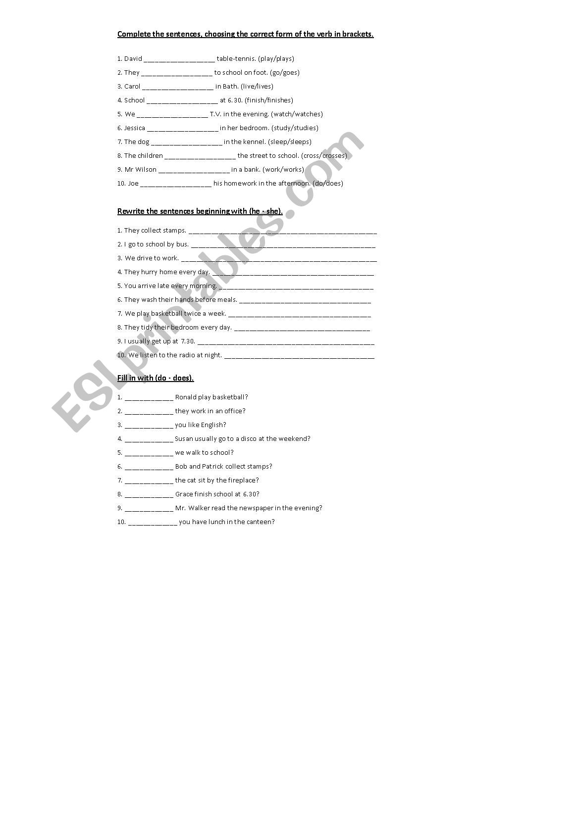 Simple Present worksheet