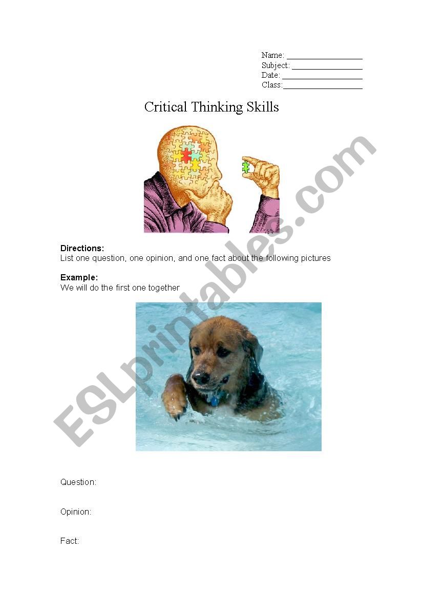 Question-Opinion-Fact worksheet