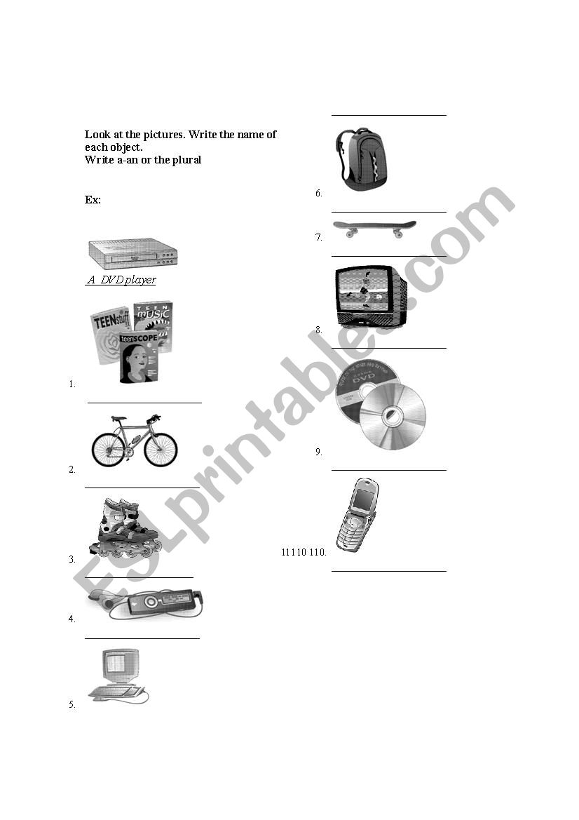 Vocabulary singular and plural pictures