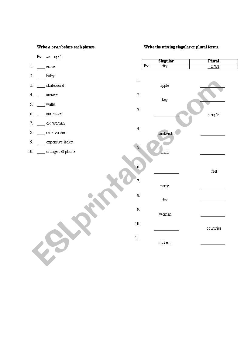 Singular and plural exercises worksheet