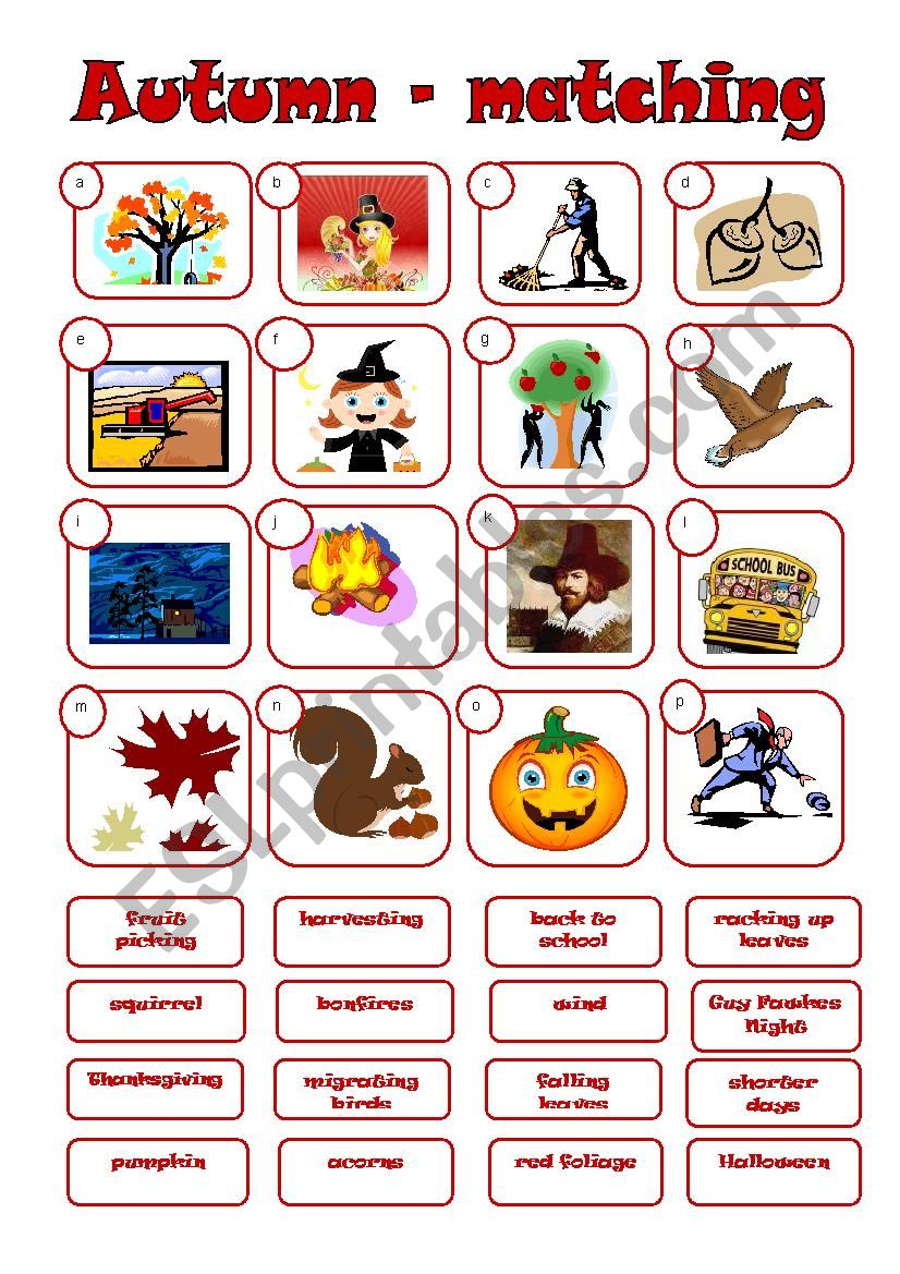 AUTUMN - matching worksheet