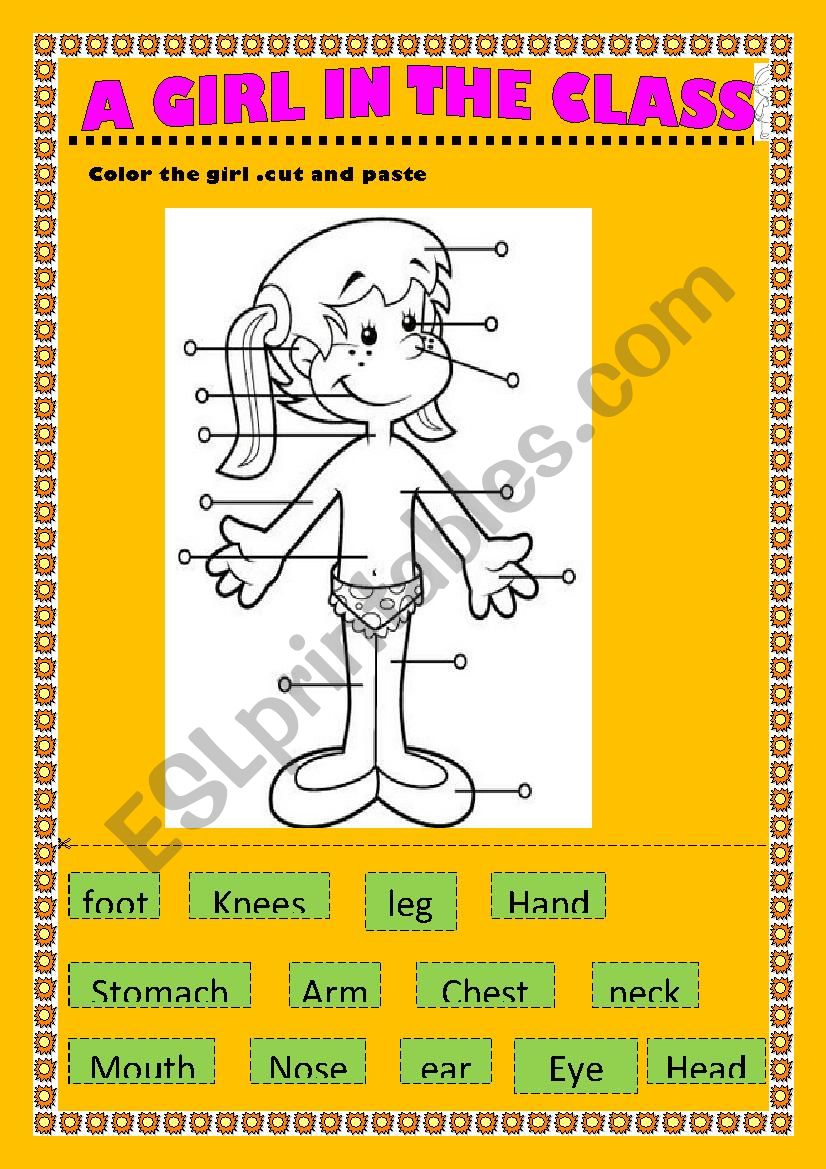 parts of the body  worksheet