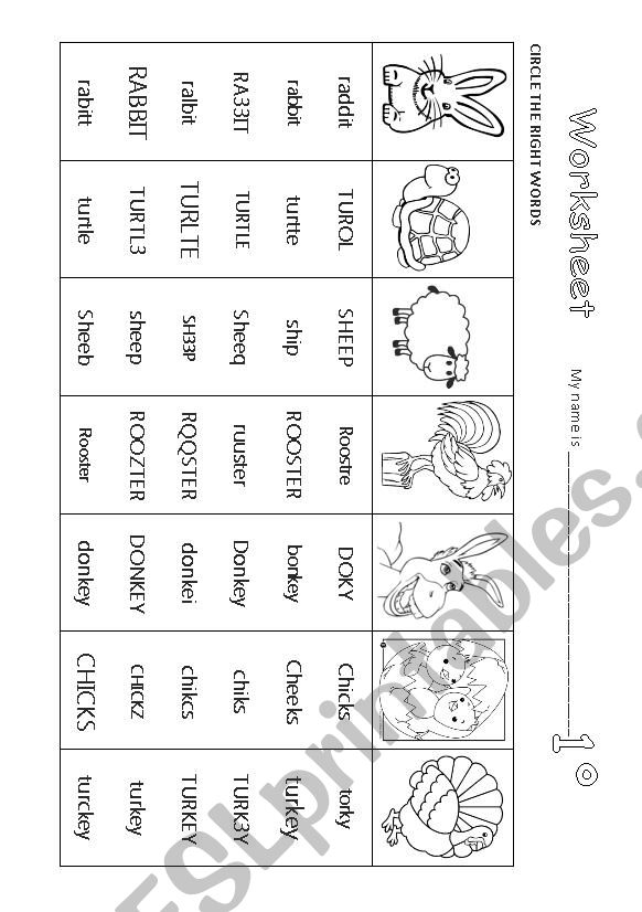 identifyng words worksheet