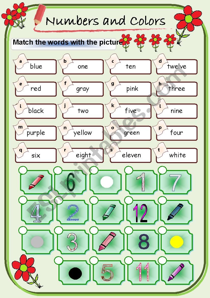 colors and numbers worksheet