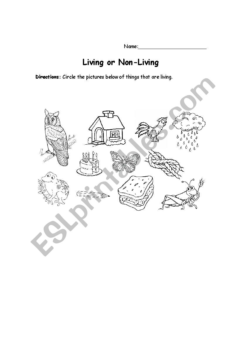 living or non living worksheet