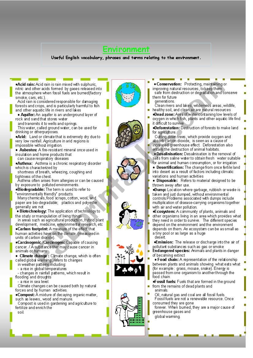 Vocabulary relating to environment 