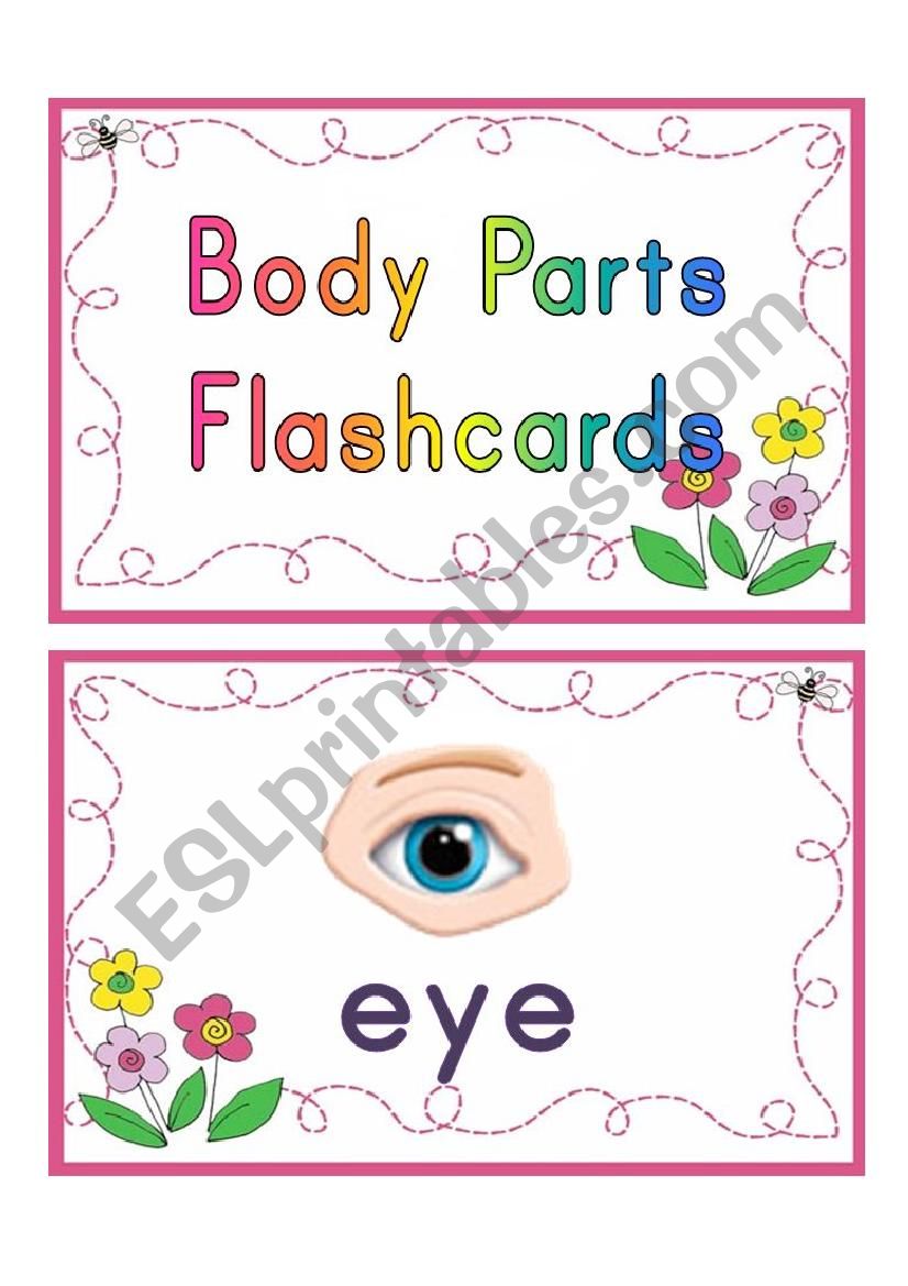 body parts flashcards worksheet