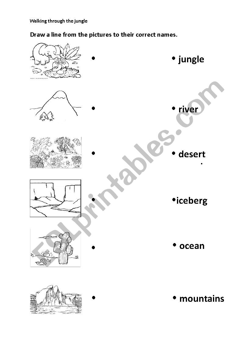 walking through the jungle worksheet