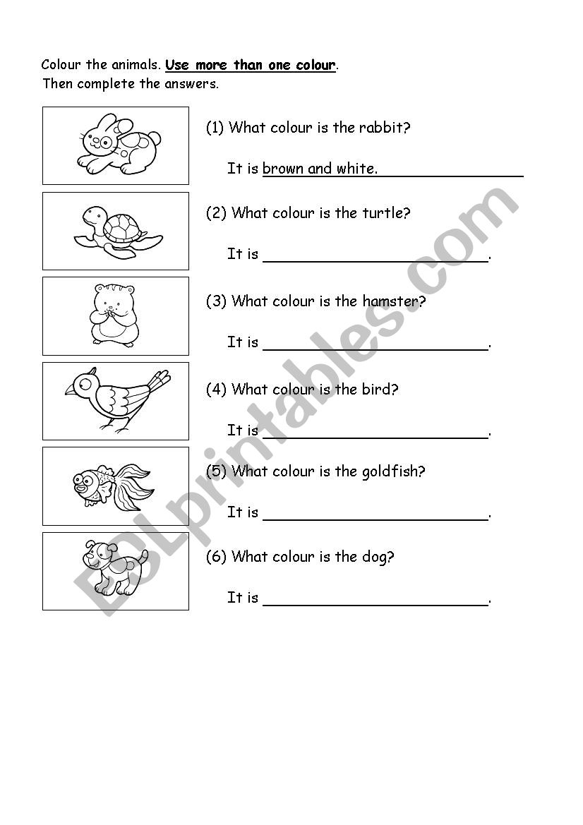 vocabulary worksheet