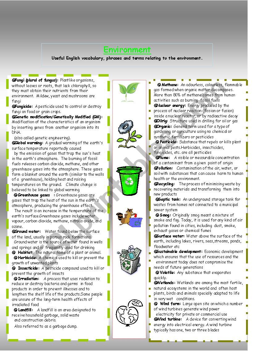 Vocabulary relating to environment 2