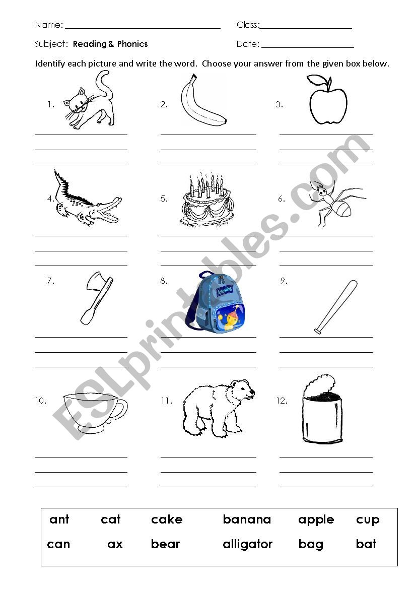 Phonics A-C worksheet