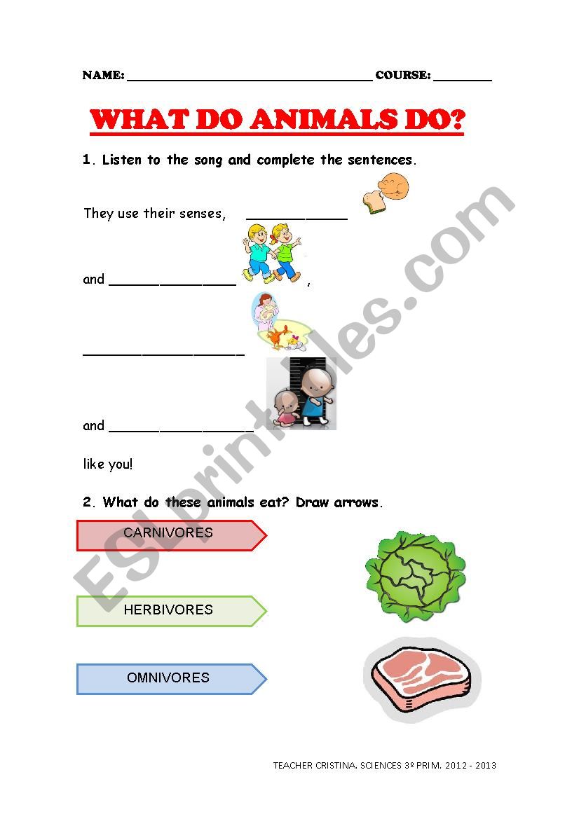 WHAT DO ANIMALS DO worksheet