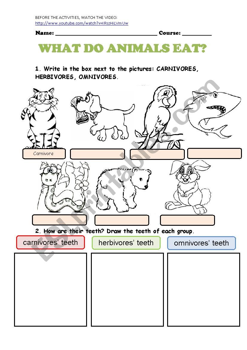 WHAT DO ANIMALS EAT - ESL worksheet by cristina84
