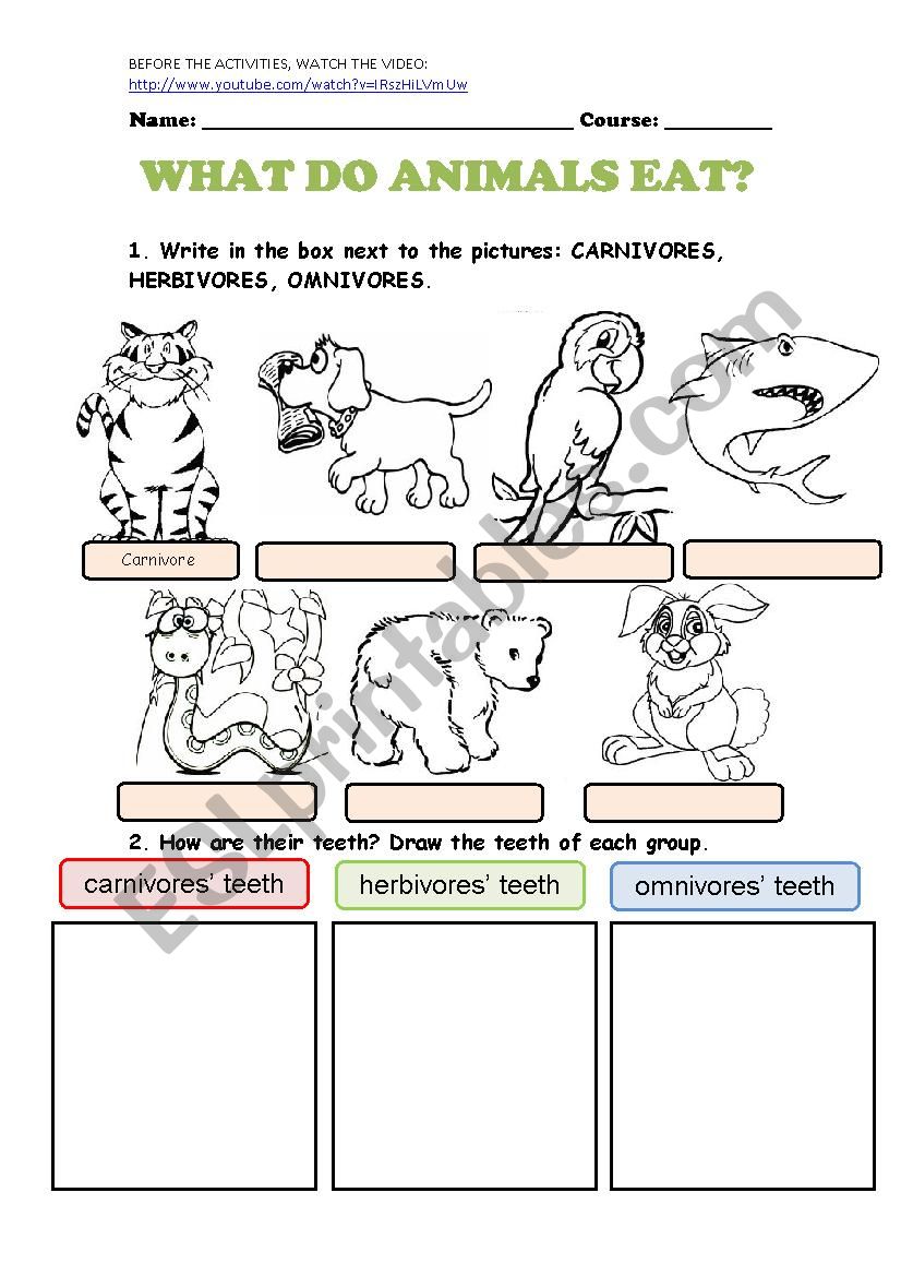 WHAT DO ANIMALS EAT - ESL worksheet by cristina84 WHAT DO ANIMALS EAT - ESL worksheet by cristina84