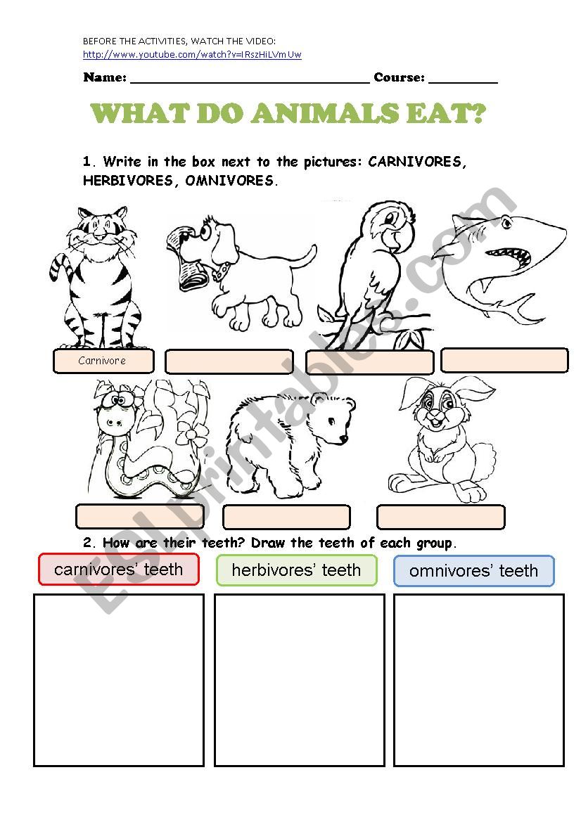 WHAT DO ANIMALS EAT worksheet