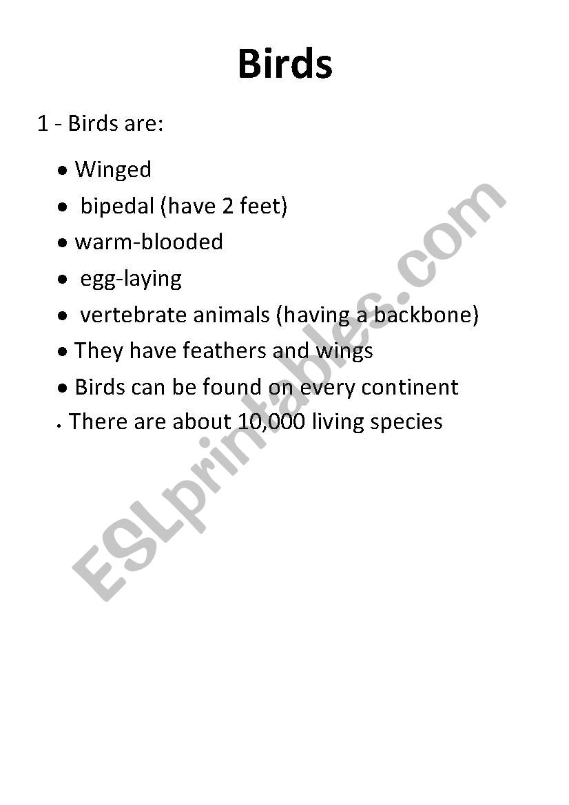 Birds worksheet