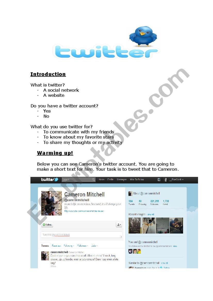 Twitter worksheet