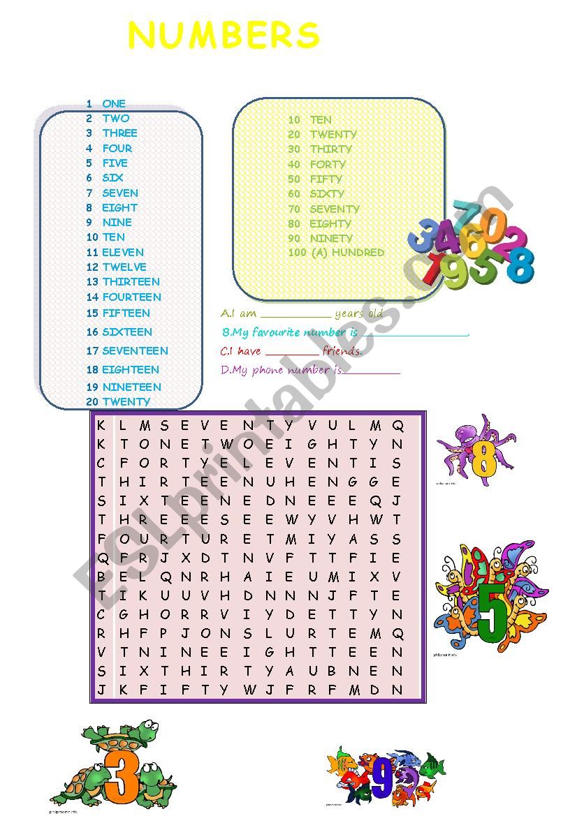 NUMBERS FOR BEGINNERS worksheet