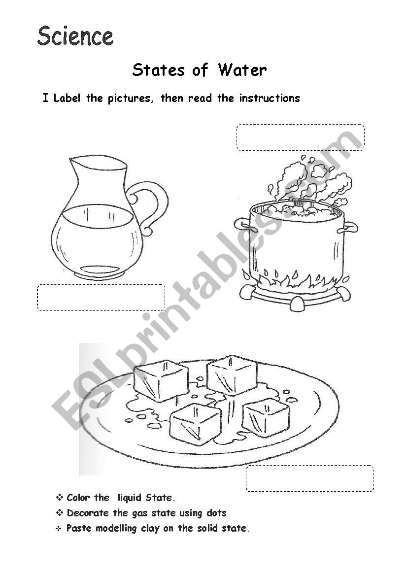 Water States worksheet