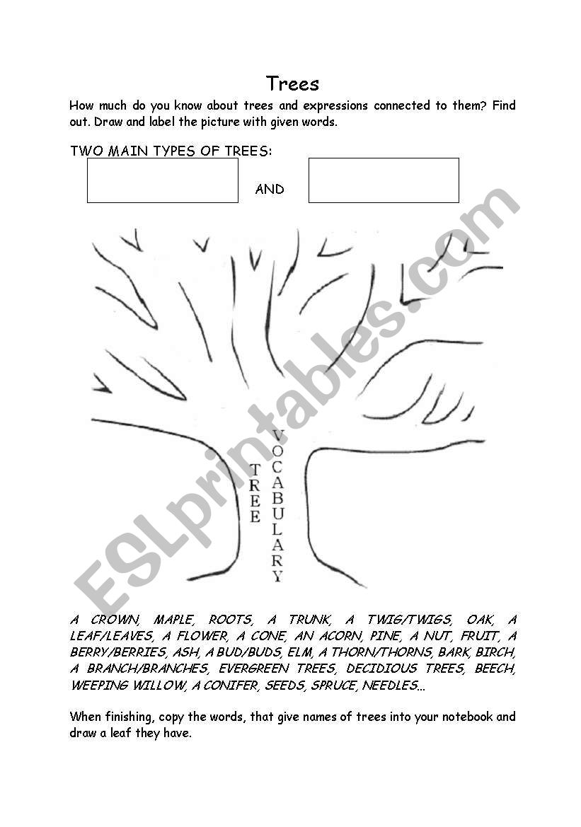 TREE TYPES AND THEIR PARTS worksheet