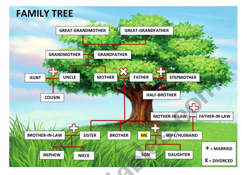 Family Tree worksheet