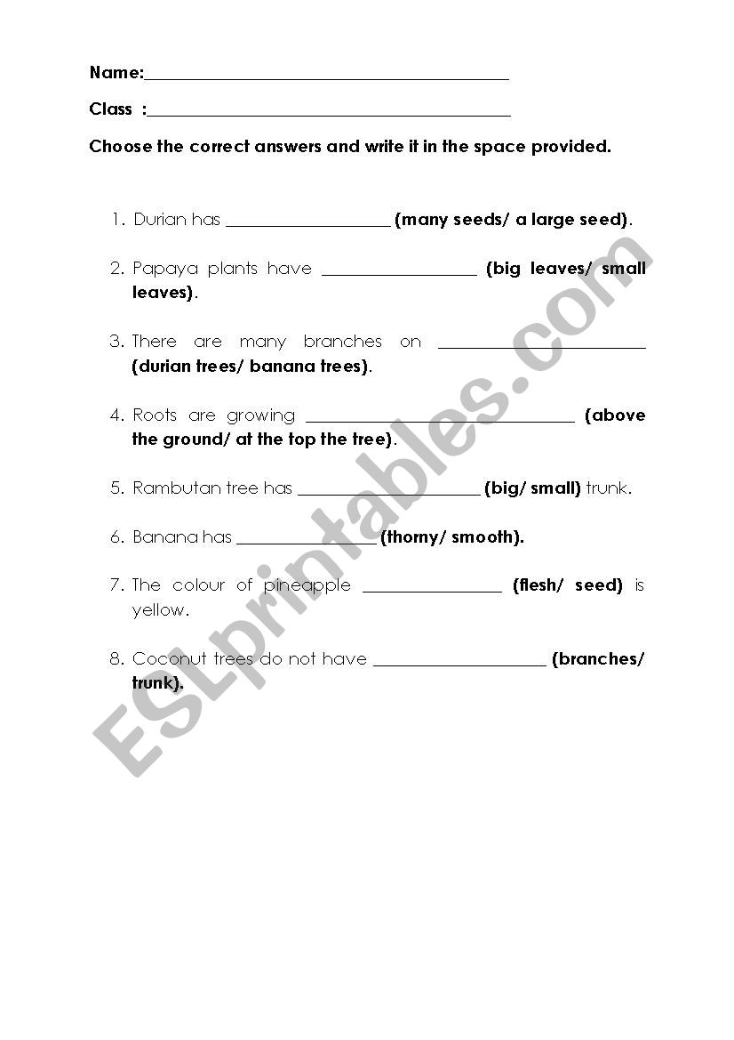 part of fruit and tree worksheet