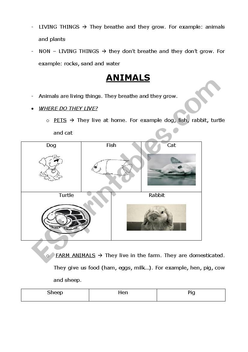 Animals worksheet