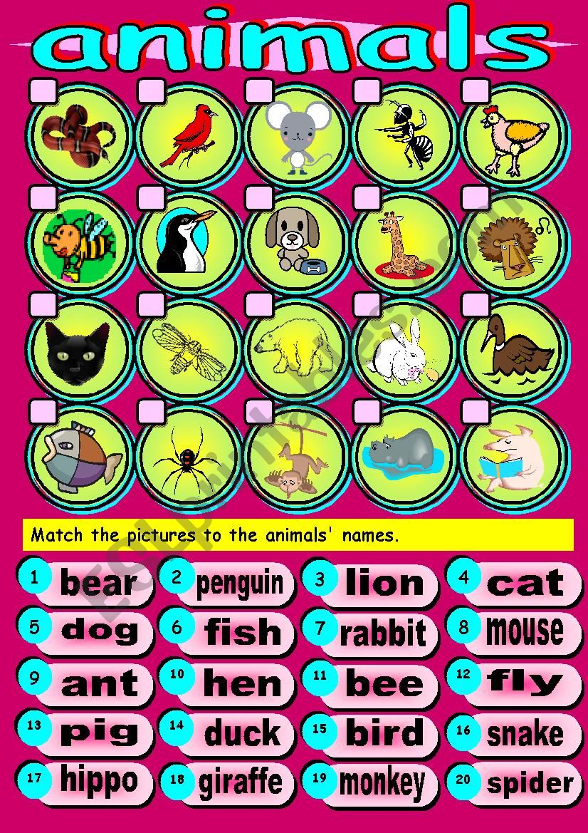 Animals Match worksheet