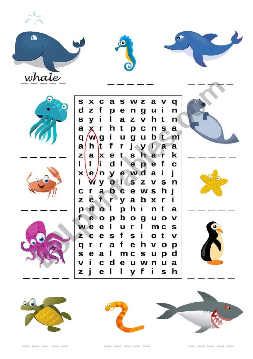 Marine Animals worksheet