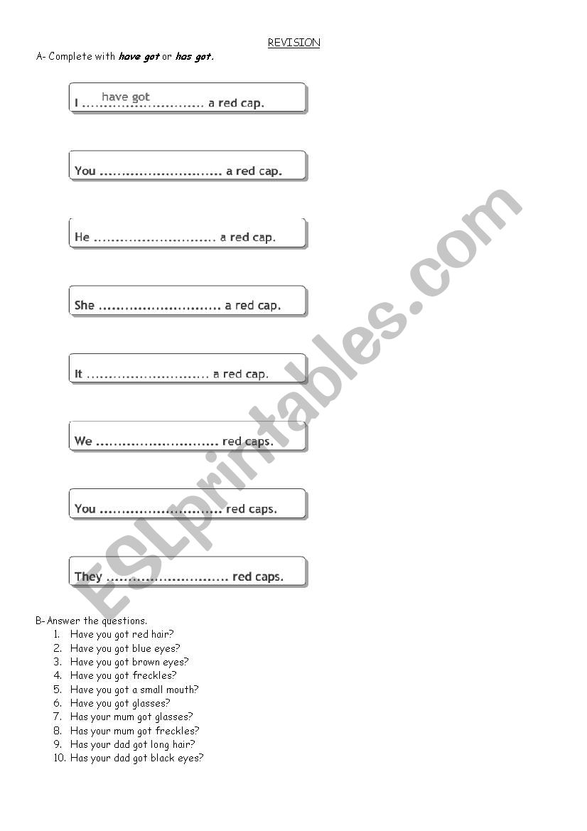 have got/ has got worksheet