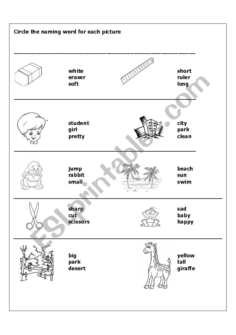 Nouns, naming words worksheet