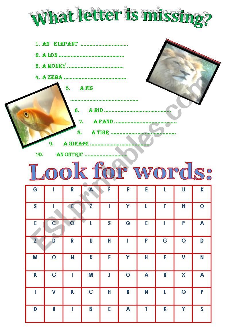 animals worksheet