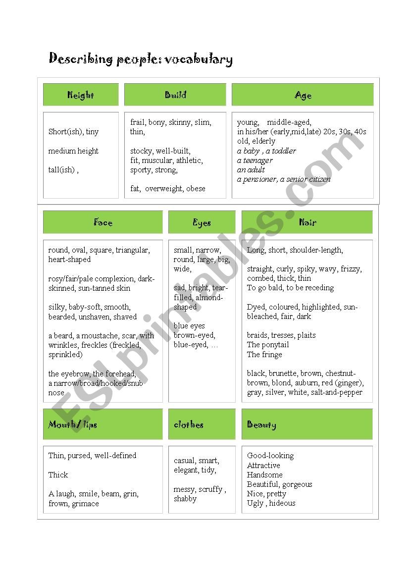 physical description vocabulary