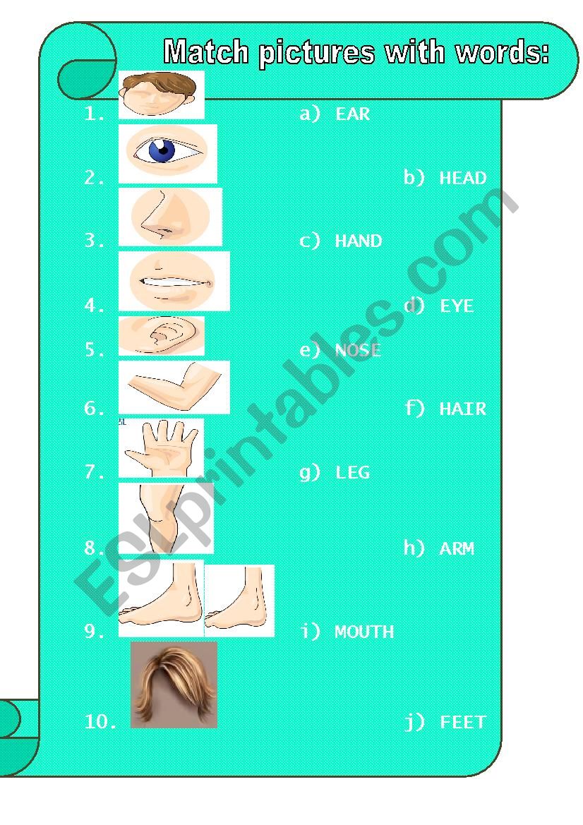 Body worksheet