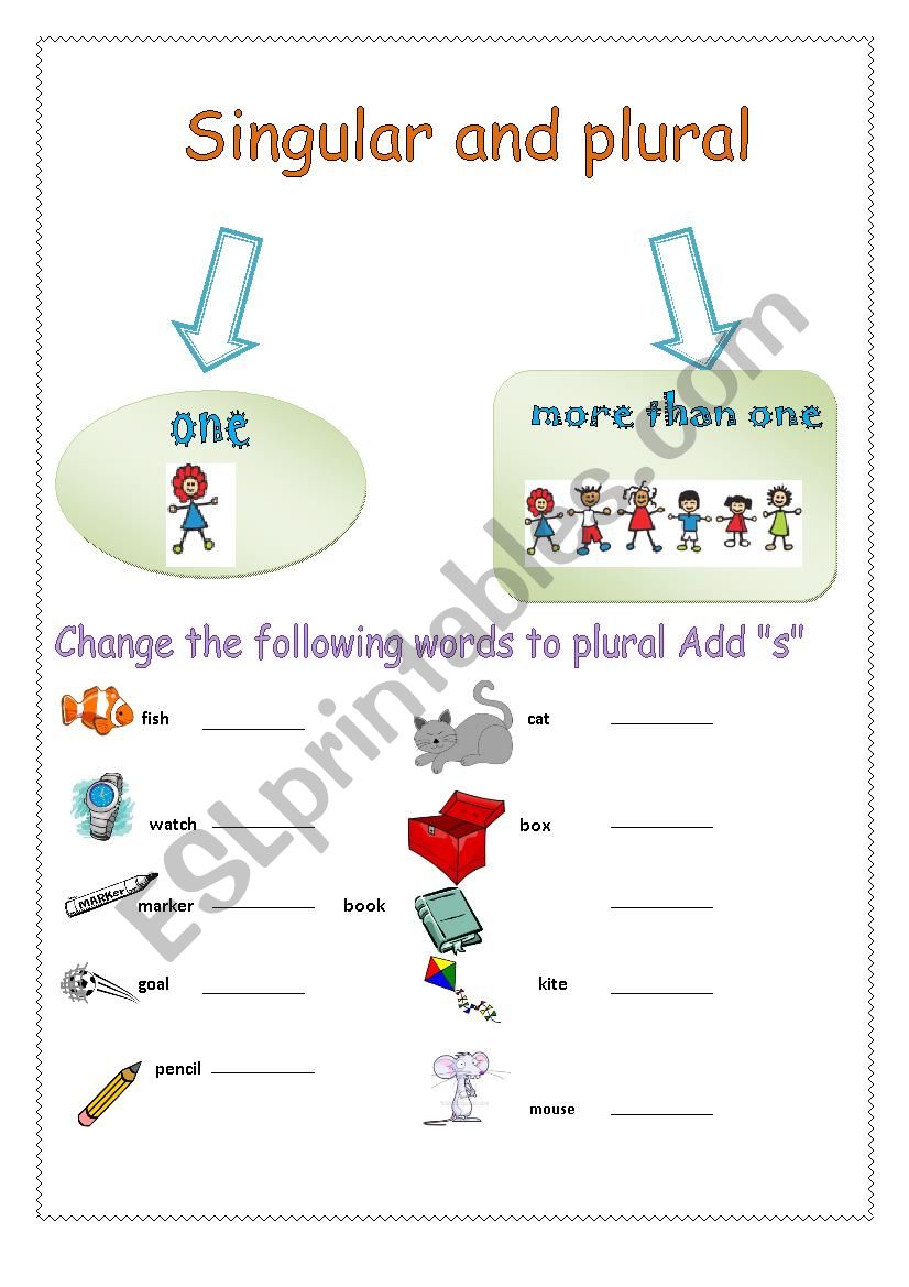 singular and plural worksheet worksheet