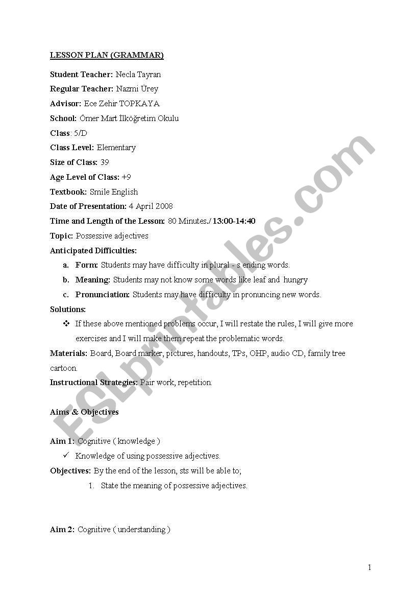 aims and objectives of the possessive lesson plan