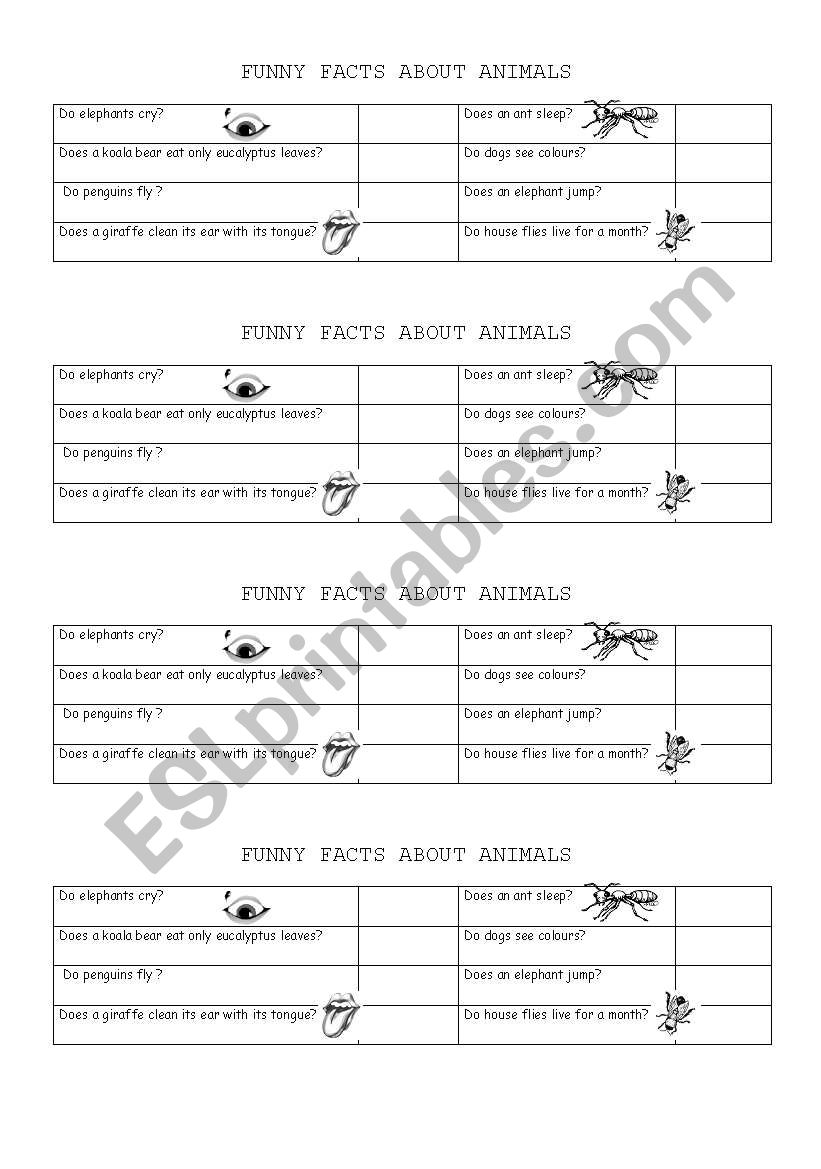 Funny facts about animals worksheet